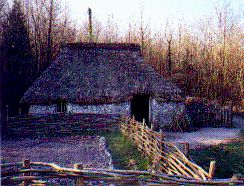 Peasant Cottage 